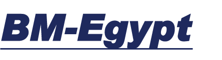 bm - egypt logo